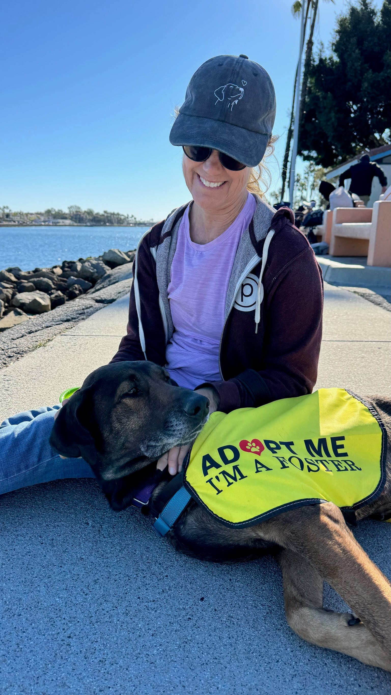 A woman sits at the beach next to a large dog wearing a yellow vest saying "Adopt me I'm a foster."