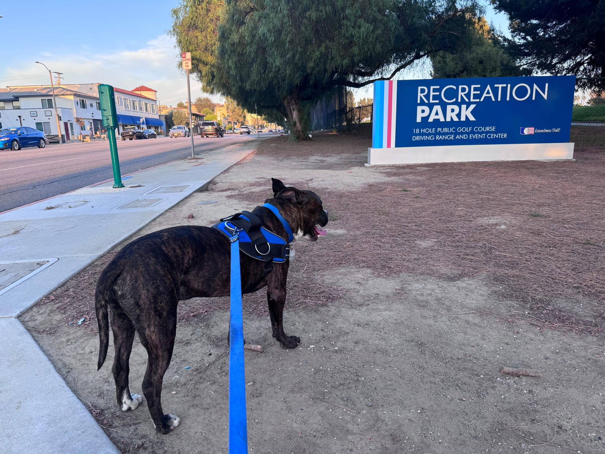 A black dog with a blue leash stands on dirt next to a sign saying "Recreation Park."