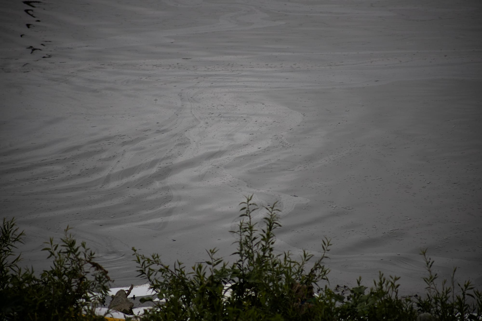 A sheen of oil floating on a dark gray river.