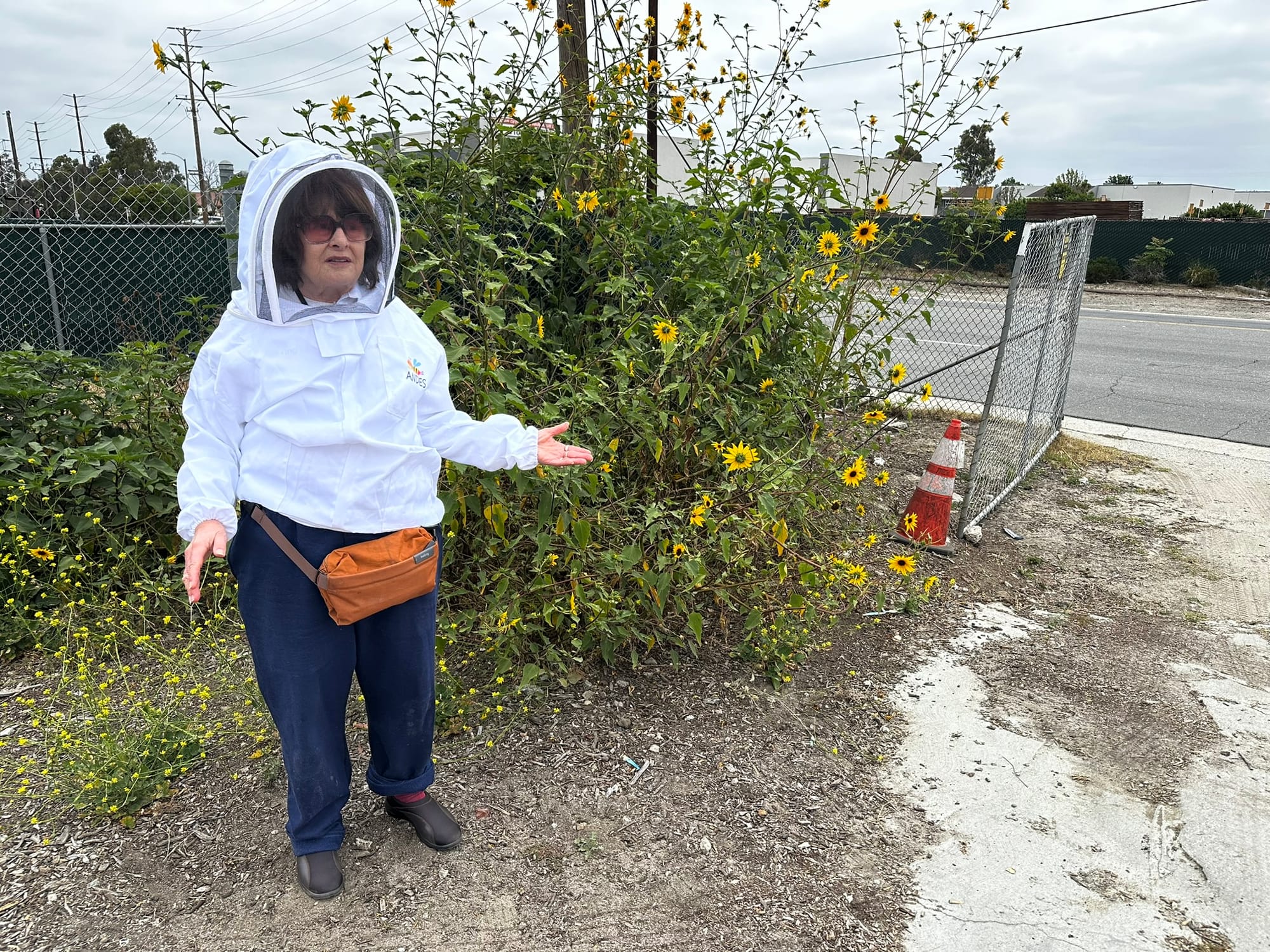 A woman wears a white beekeeping suit while standing next to large shrub near a road.