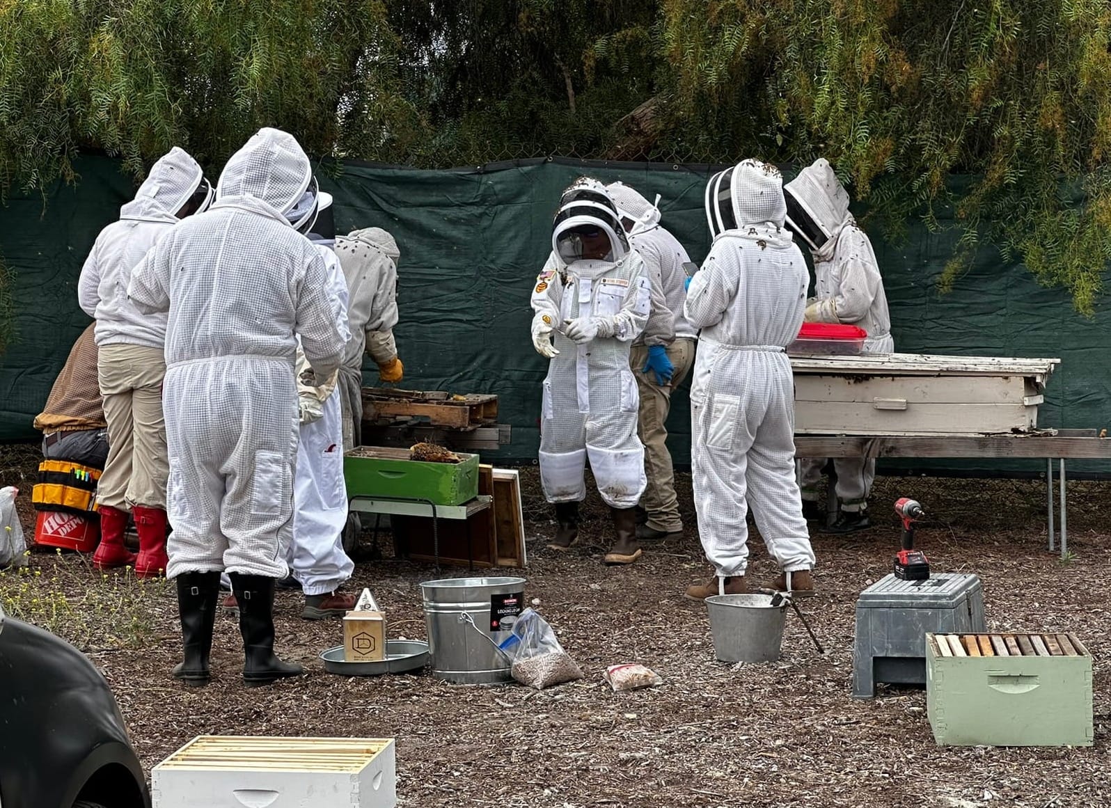 A group of people in white beekeeping suits stand near some boxes outside near trees.