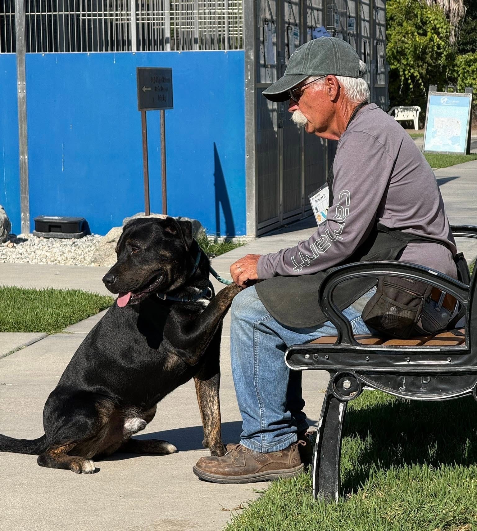 A white-haired man sits on a bench and holds the paw of a very sweet black dog.