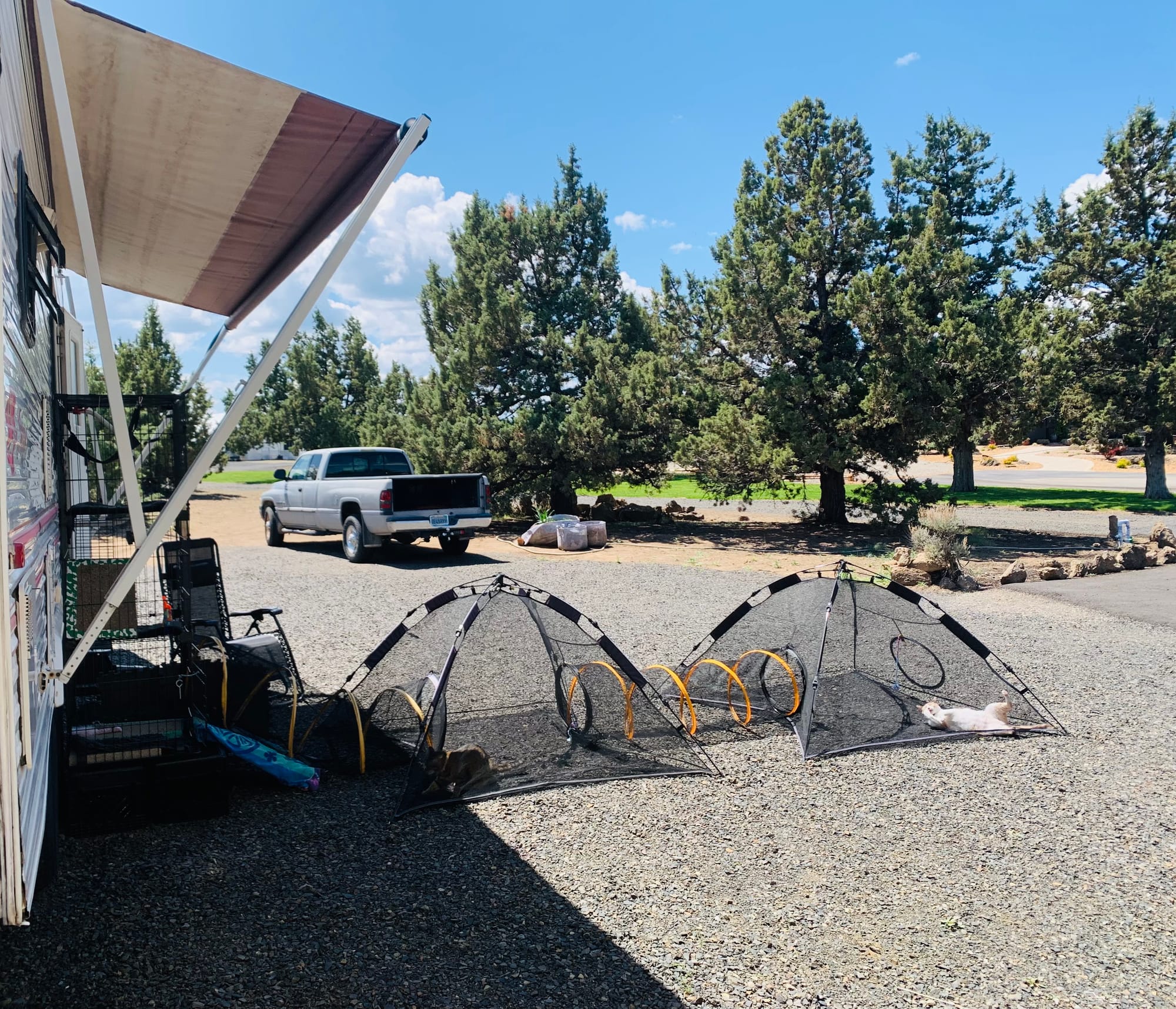 Two translucent tents sit on gravel near a mobile home and pickup truck and some trees.