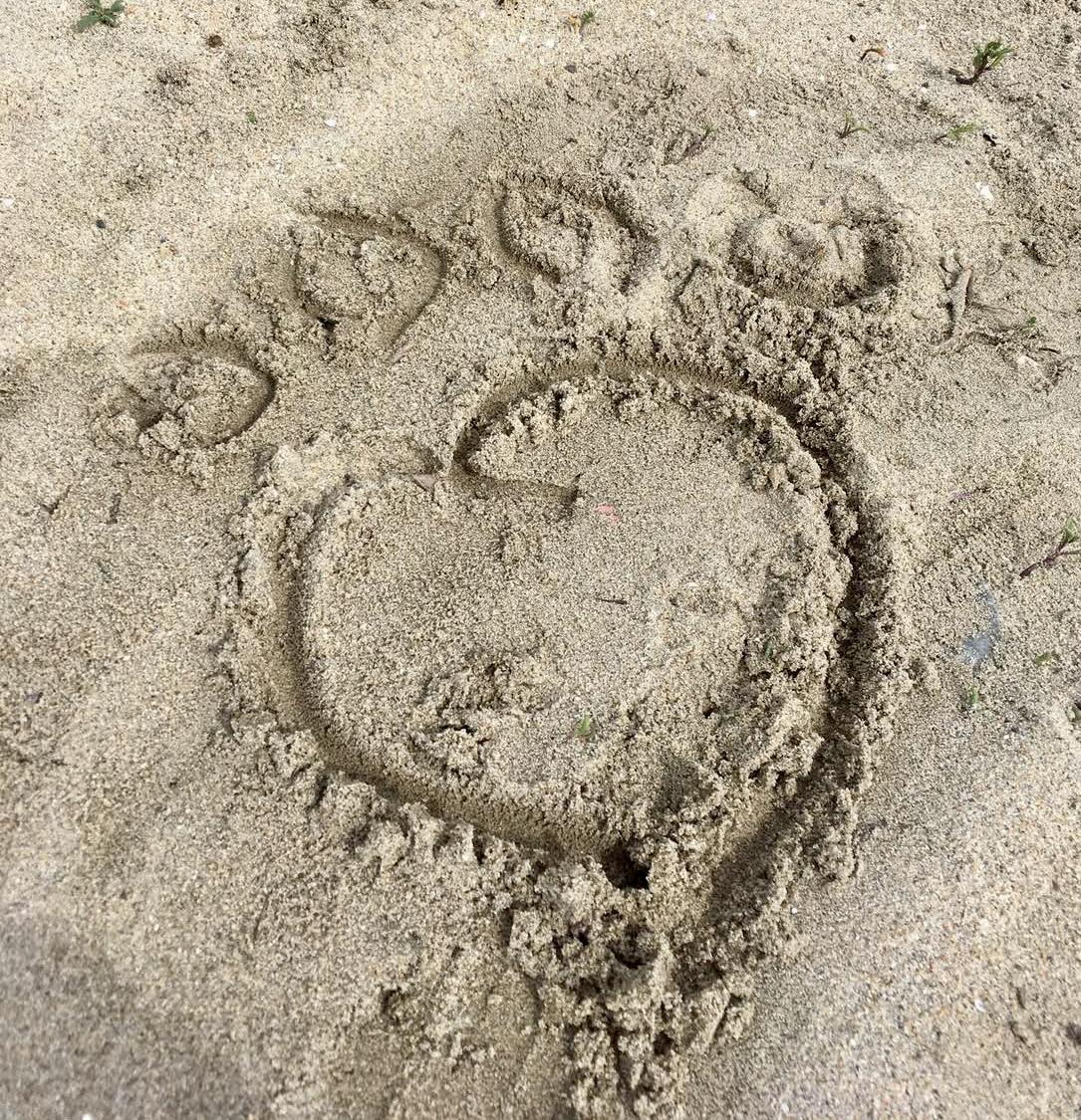The outline of a dog's paw traced in the sand at the beach.