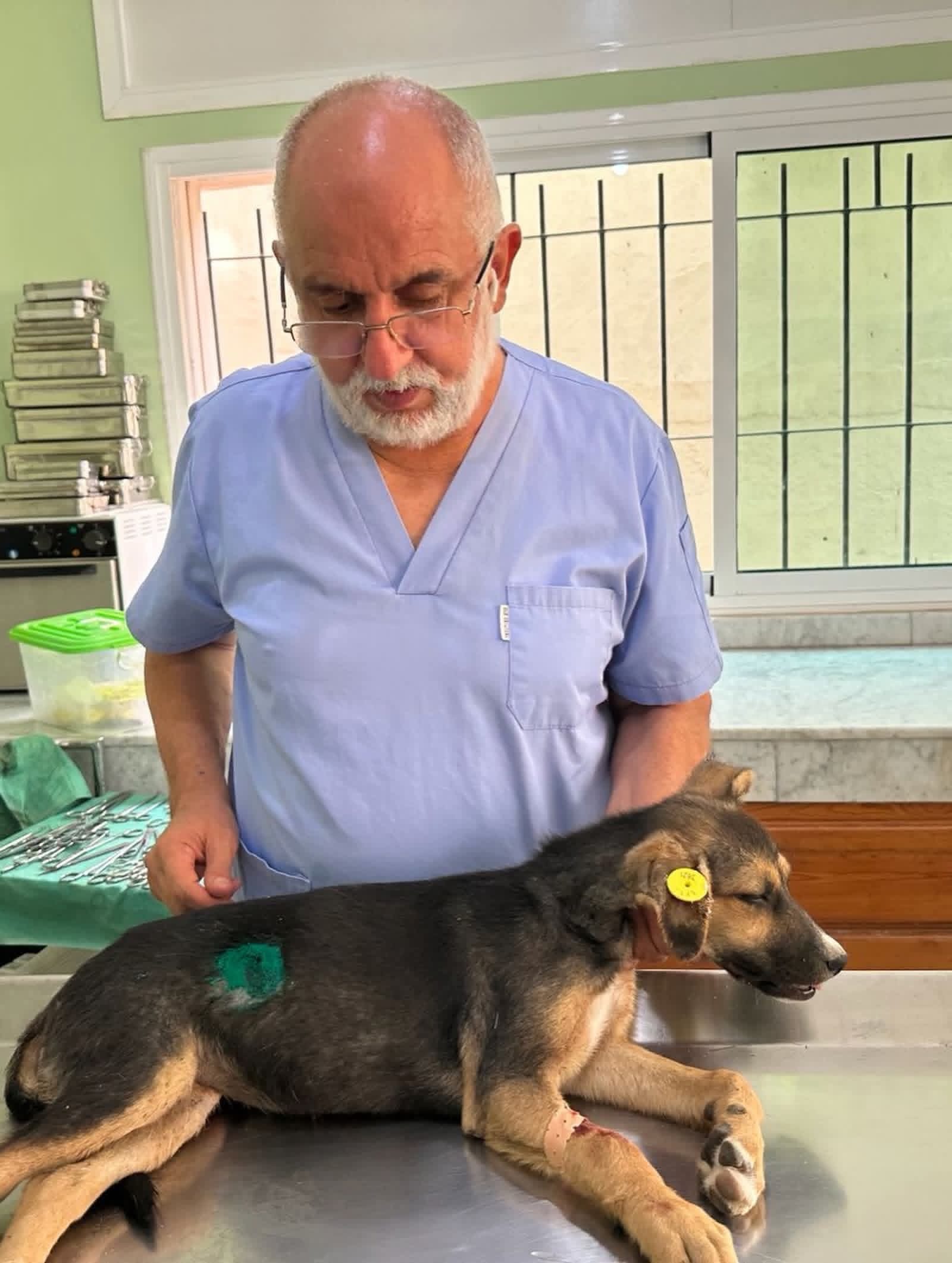 A man stands next to a sweet dog with a yellow tag on its ear.