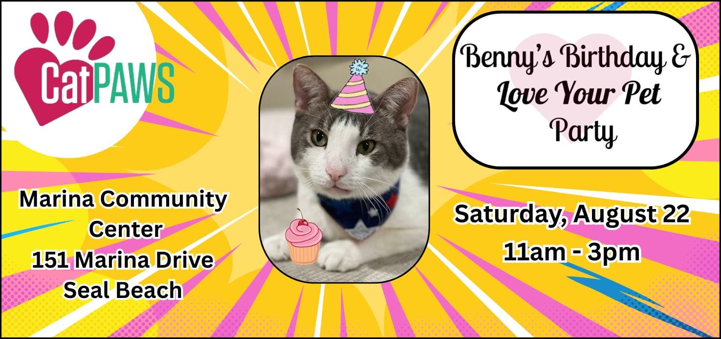 Image of a small gray and white cat wearing a cartoon birthday hat with the words "Benny's Birthday & Love Your Pet Party."