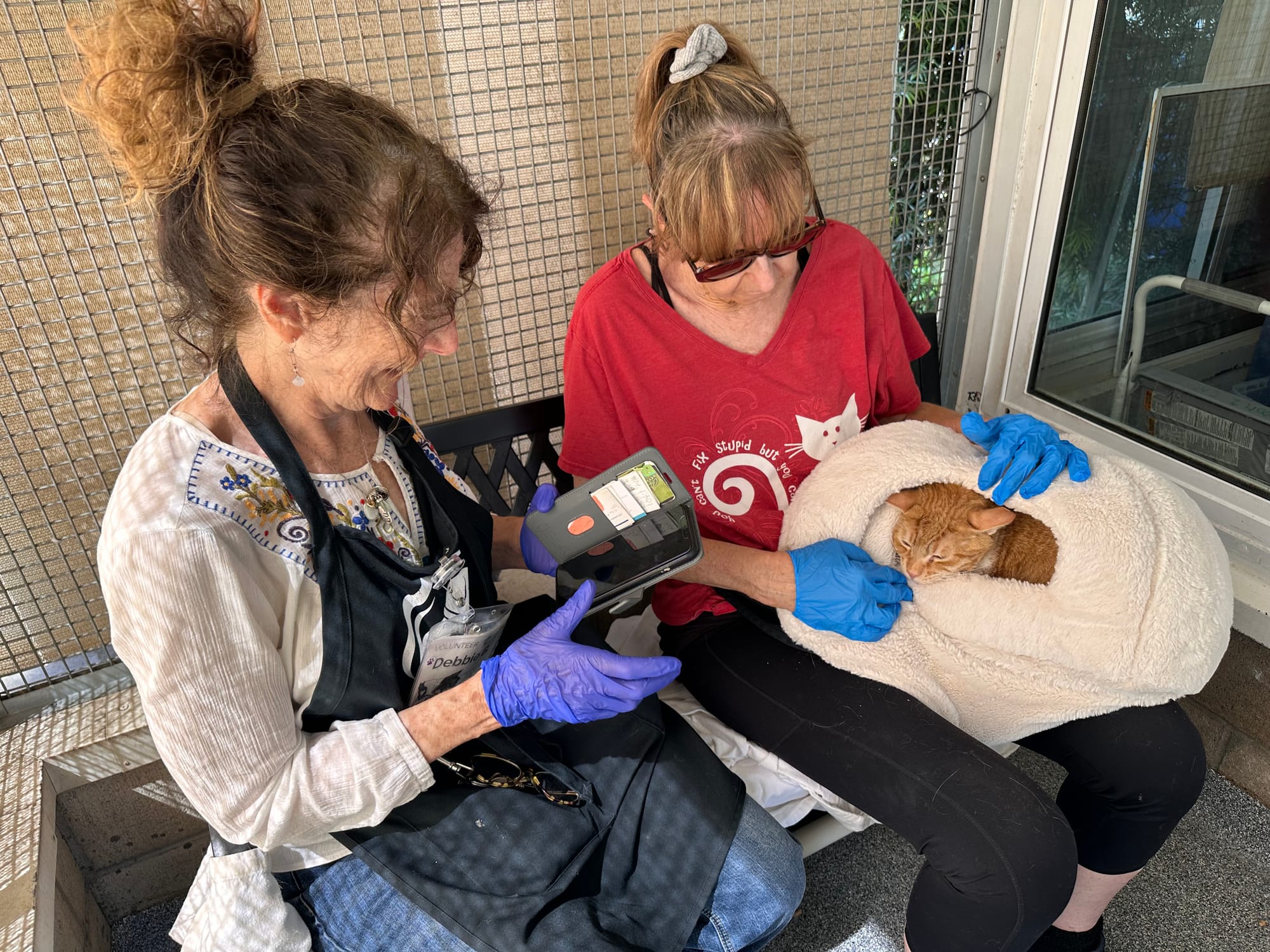 Two women sit outside while one holds an adorable orange cat swaddled in a white blanket.