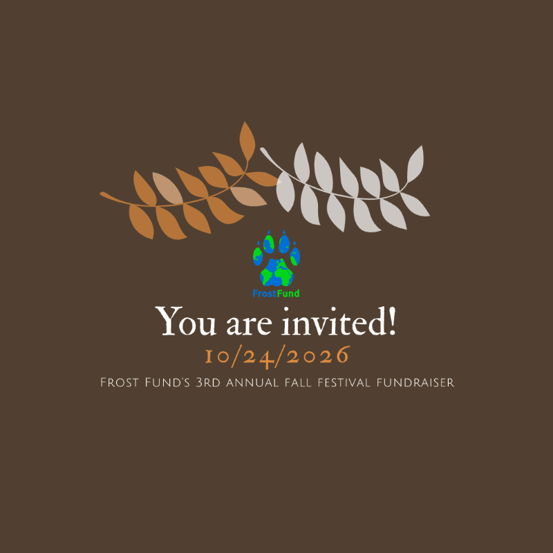 Graphic that says "Frost Fund. You are invited! 10/24/2026. Frost Fund's 3rd Annual Fall Festival Fundraiser."