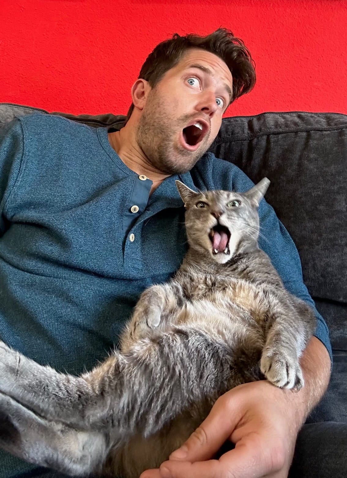 A man holds a sweet gray cat as both open their mouths wide.