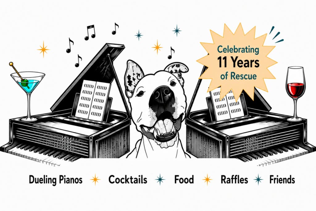 Illustration showing a white dog between two grand pianos with the words "Celebrating 11 years of Rescue."