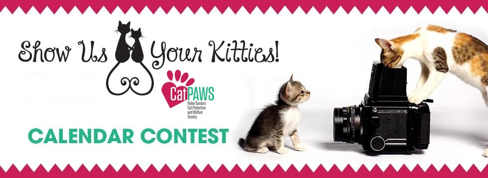Two kittens inspect a camera next to the words "Show Us Your Kitties!"