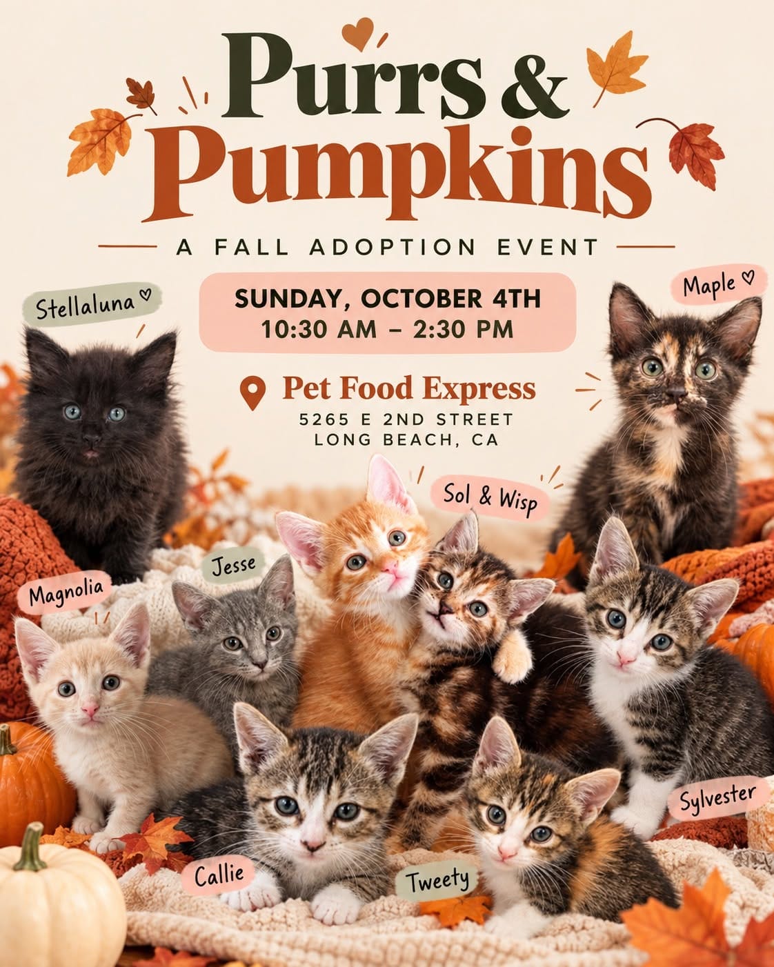 Graphic showing many kittens under the title "Purrs & Pumpkins."
