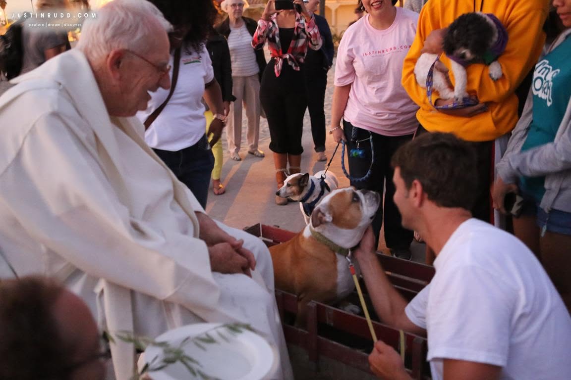 A man sits next to two dogs while a group of people stand nearby.