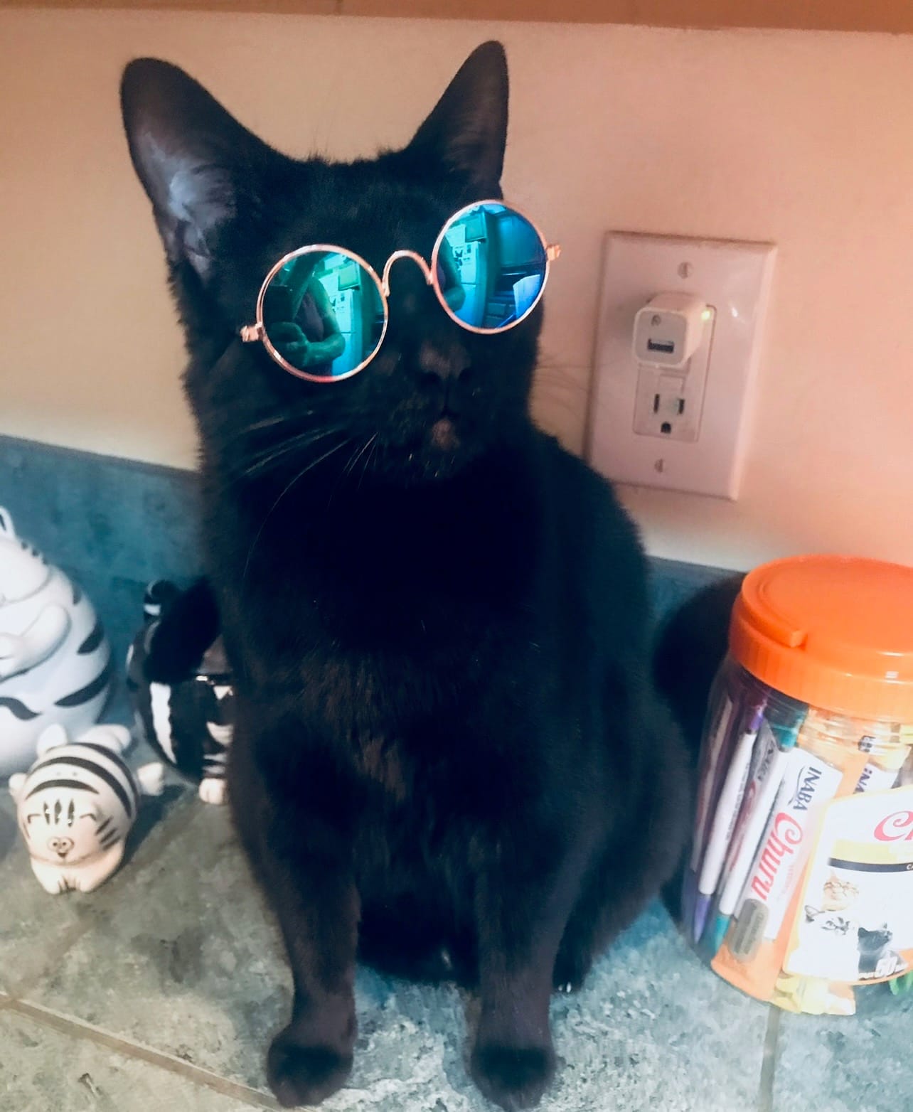 A black cat sits on a counter while wearing stylish sunglasses.
