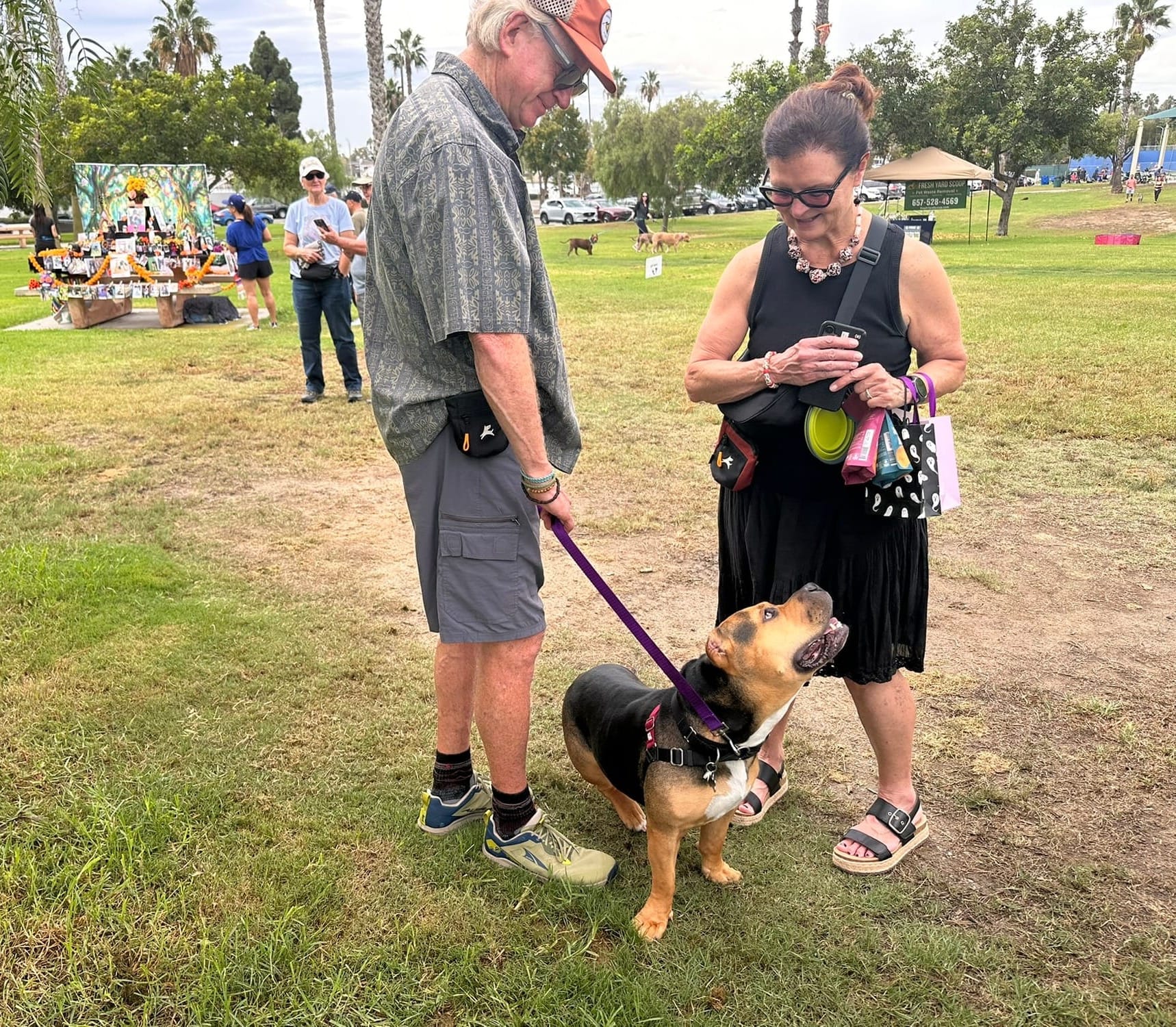 Two people look at a dog on a leash outside.