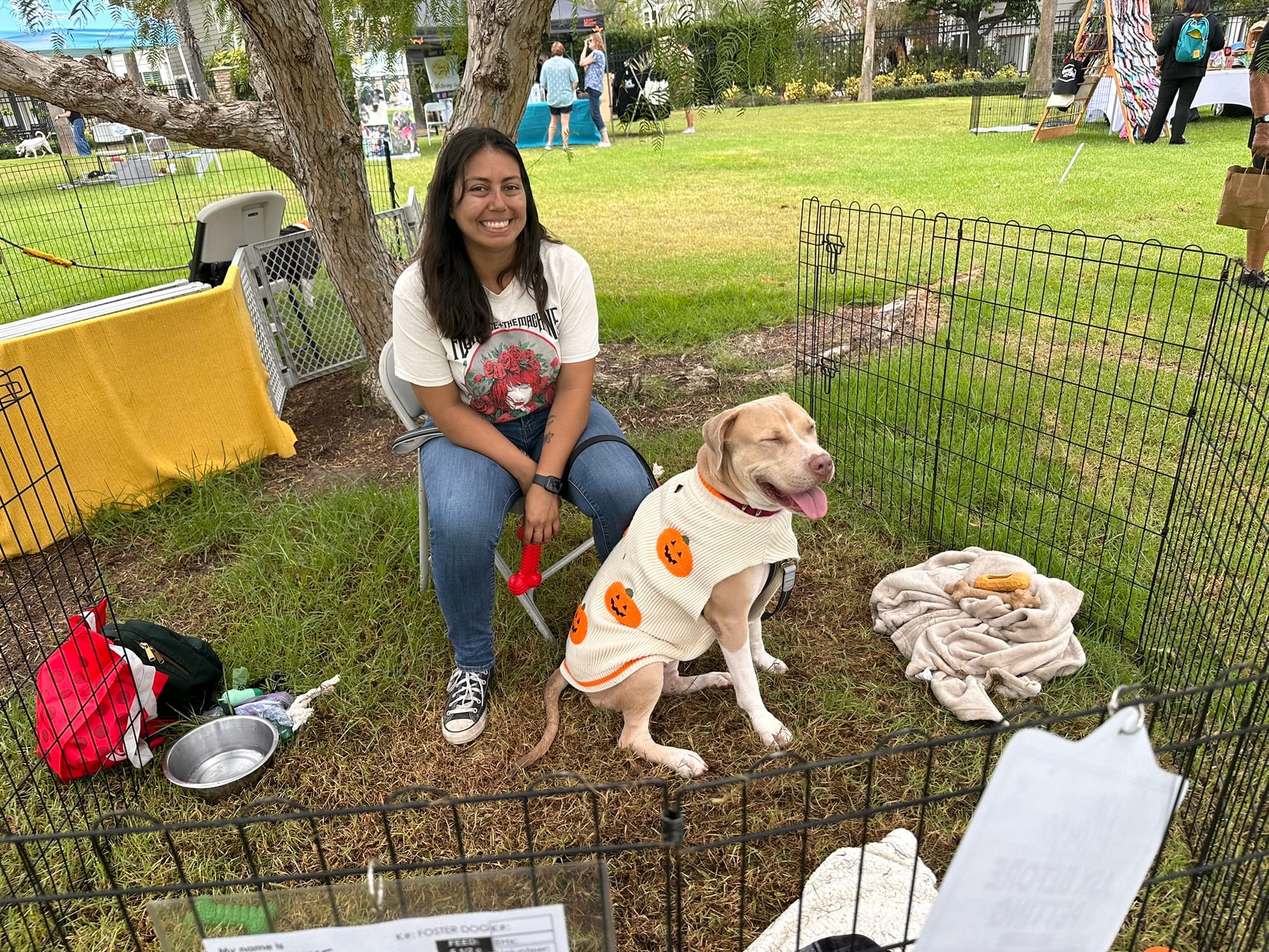 A dog wearing a sweater decorated with jack-o-lanterns sits outside in a wire enclosure with a woman.