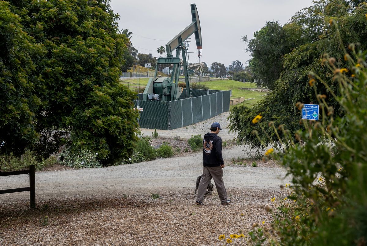 Get to know Long Beach’s Willow Springs Park with free weekend activities