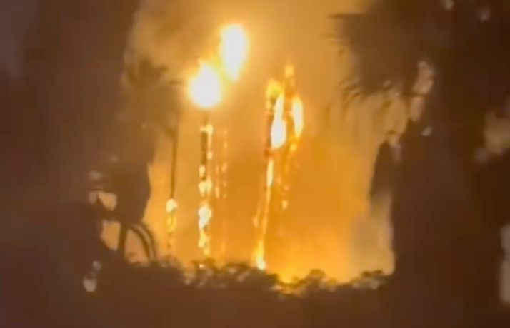 Blaze in East Long Beach ravages through vegetation, destroys palm trees