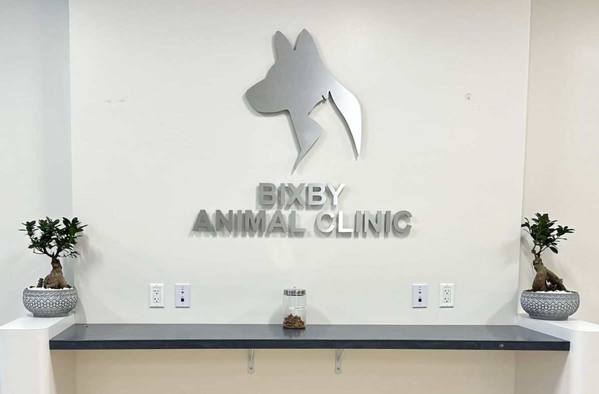Long Beach veterinary clinic and animal-welfare organization team up to spay and neuter pets