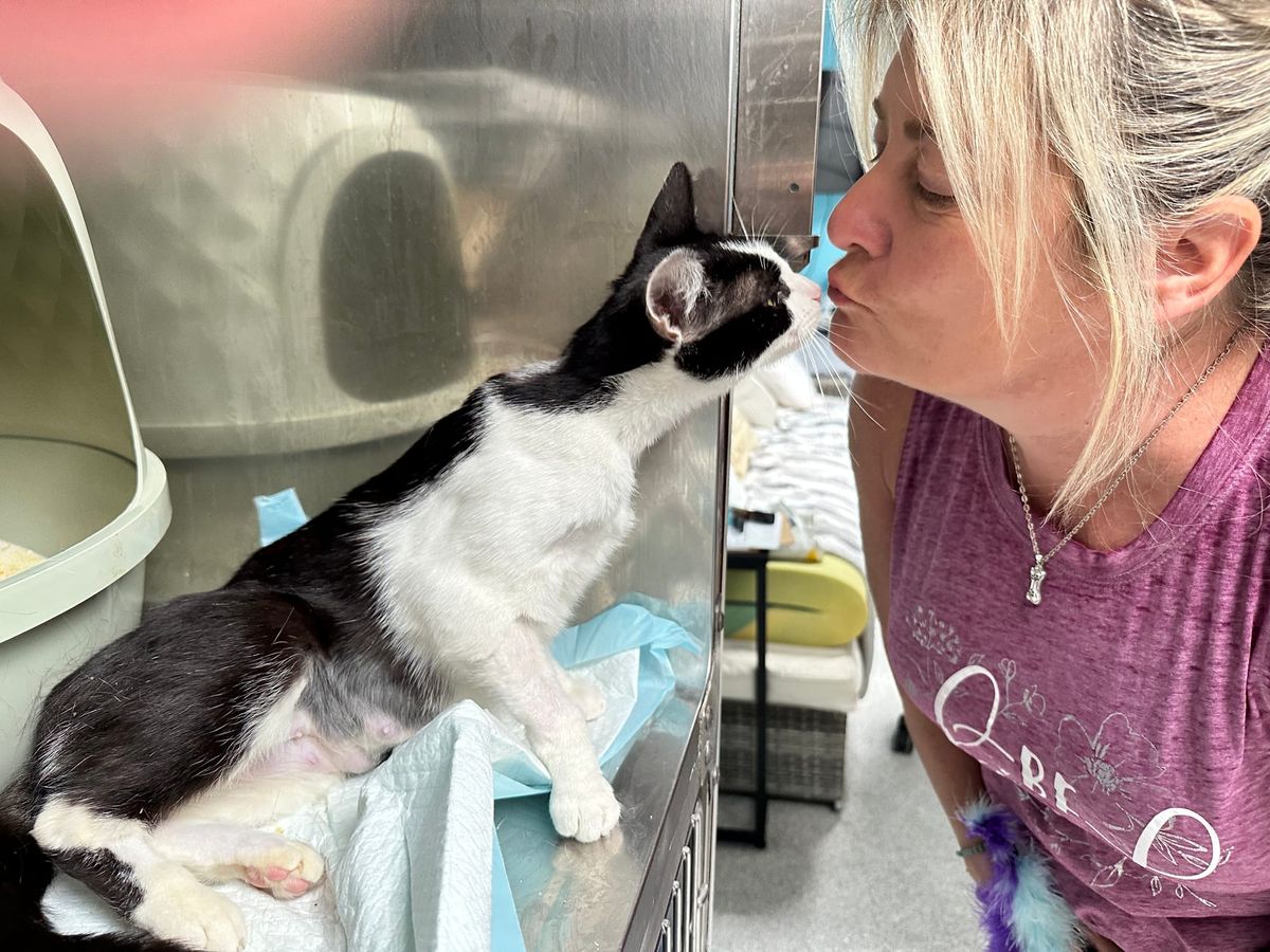 Scratch This: 'Born to save'