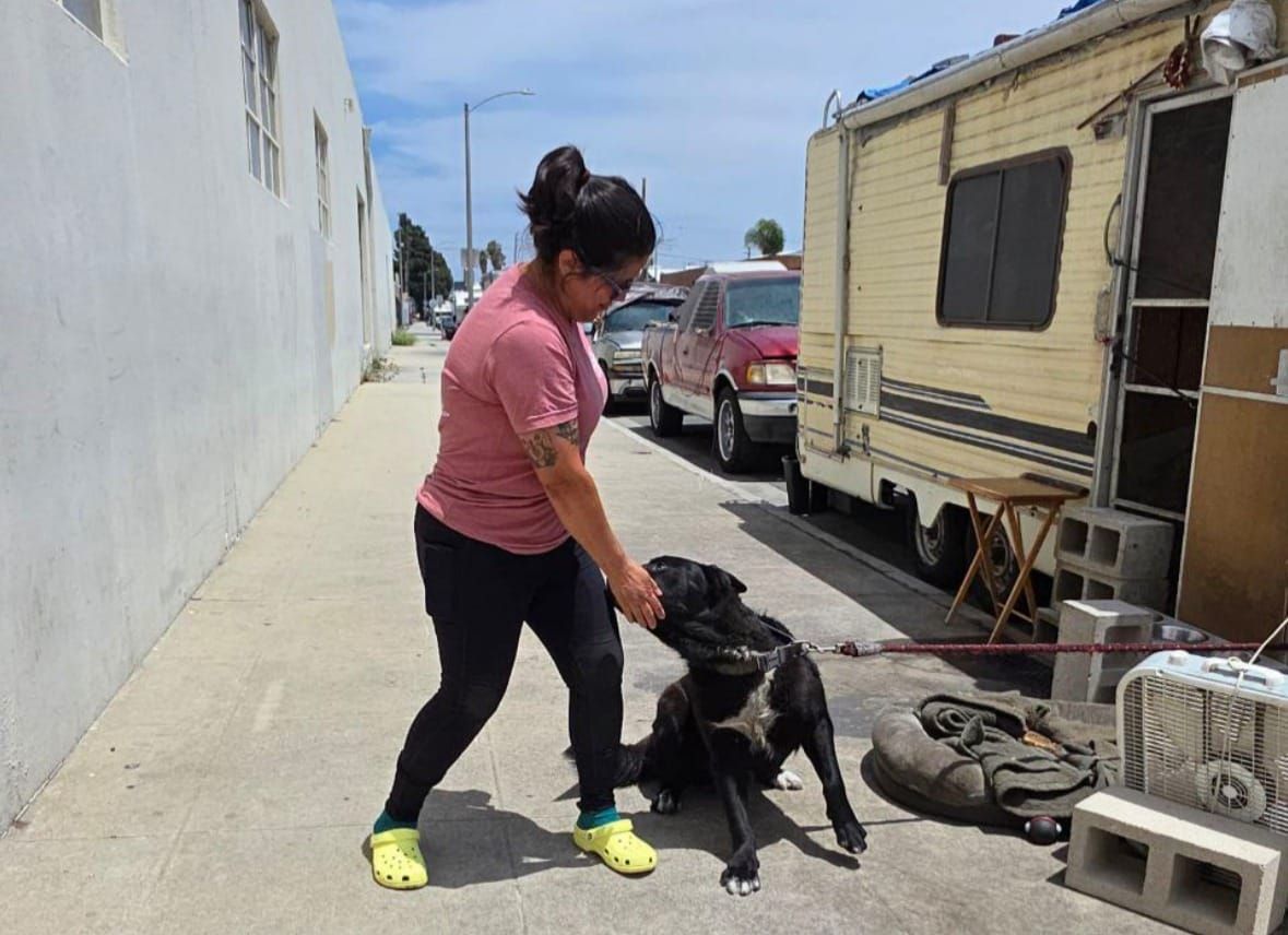 Scratch This: Compassion and generosity are not species exclusive