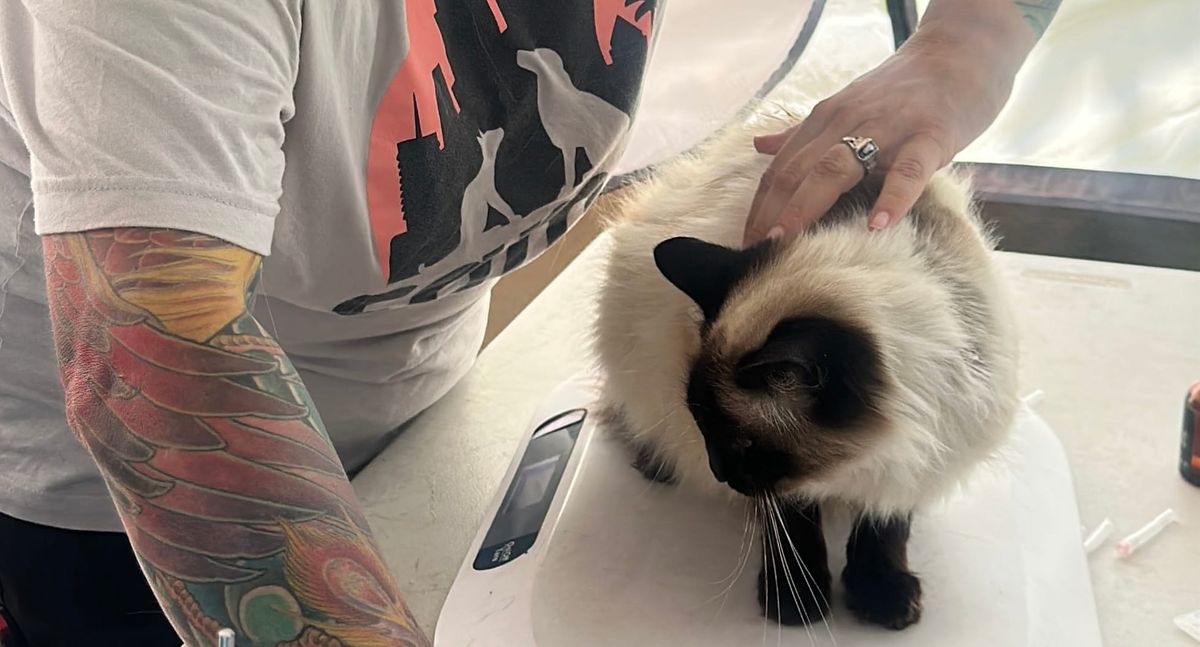 How veterinary medicine takes on ever-evolving parasites