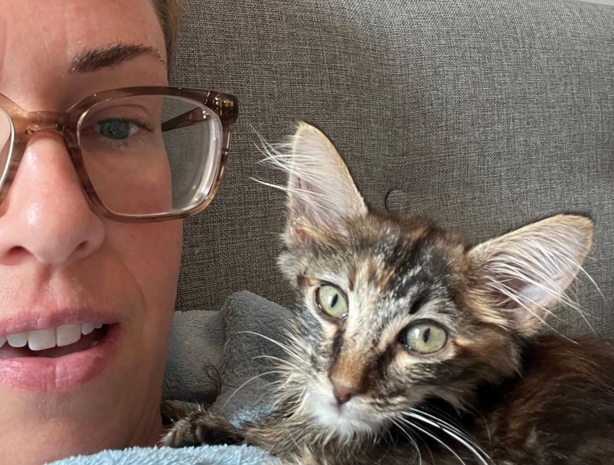 Introducing Paws in the Sand, a new local TNR-based cat rescue