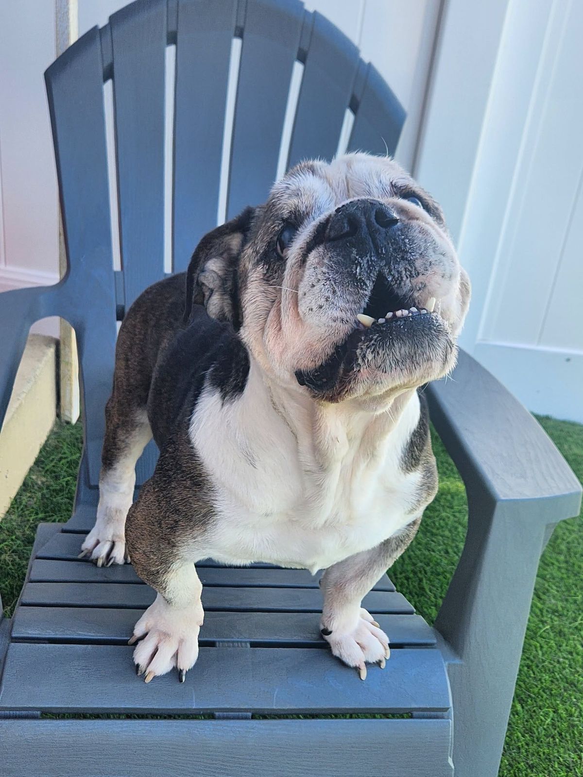 Well, bully for you!