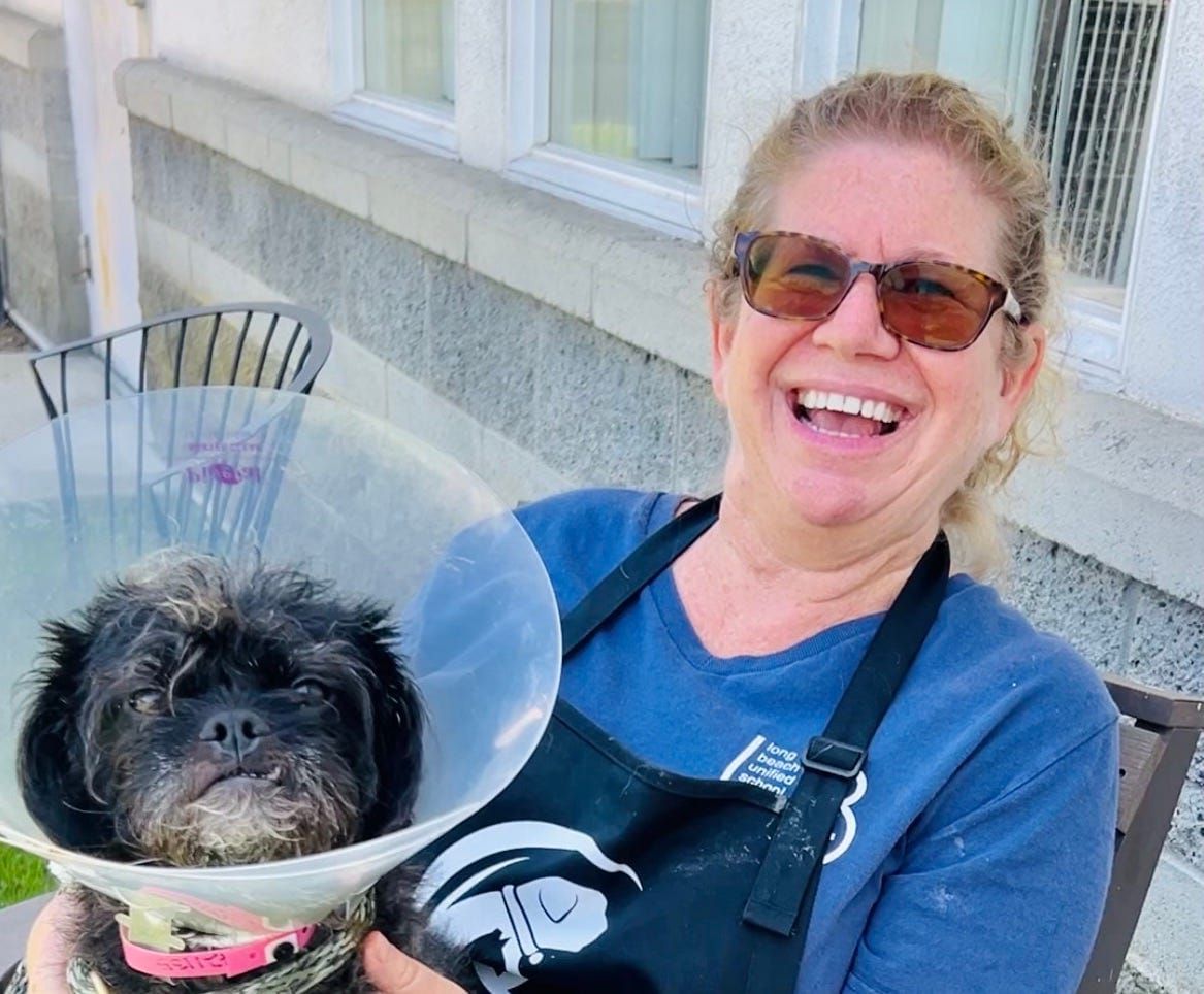 Scratch This: Meet the dogs in the shelter’s play yards and the cats in the Catio