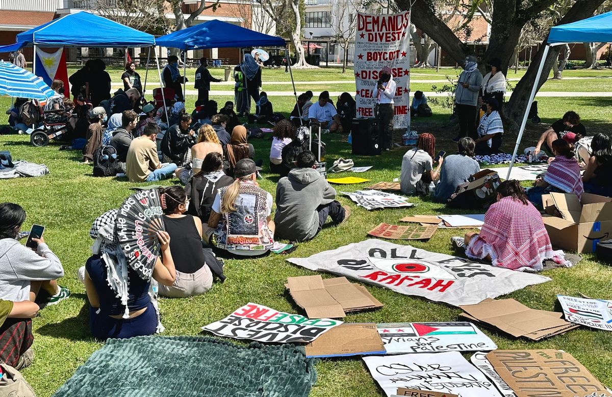 WATCHDOG TODAY: LB reports dip in homelessness, TB outbreak contained, CSULB walks out