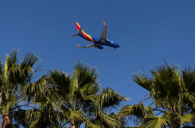 Blue airliner flying in a blue sky above green palm trees.