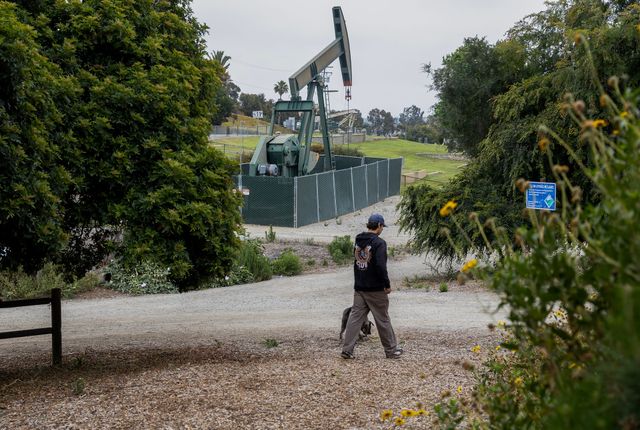 A man and a dog walk along a gravel road between trees and bushes with an oil derrick in the background.