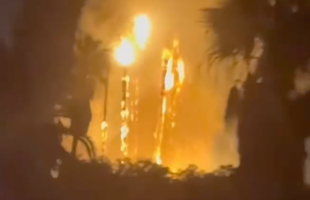 A blurry photo of palm trees on fire.