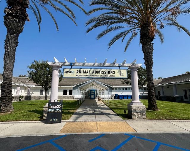 Stone columns hold up a sign saying "spcaLA ANIMAL ADMISSIONS."