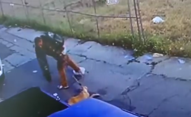 Screenshot from a video of a man abusing a dog.