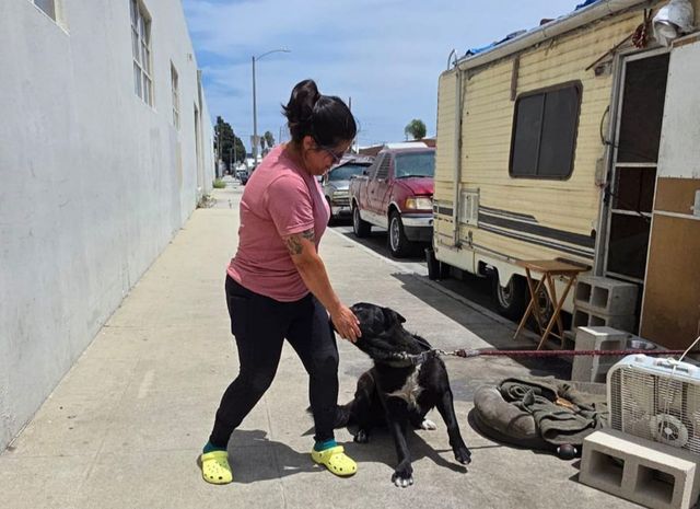 A woman standing on the street pets a black dog that is leashed to a motorhome.
