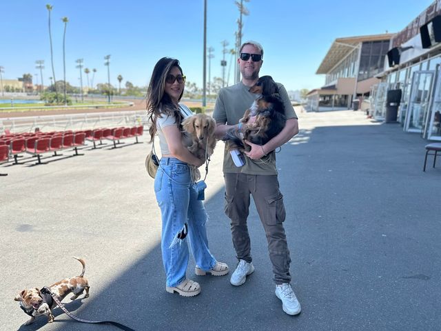 A man and woman each hold small dogs while a third small dog stands nearby.