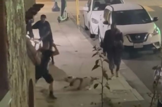 A dog is in recovery after being stabbed while protecting its owner