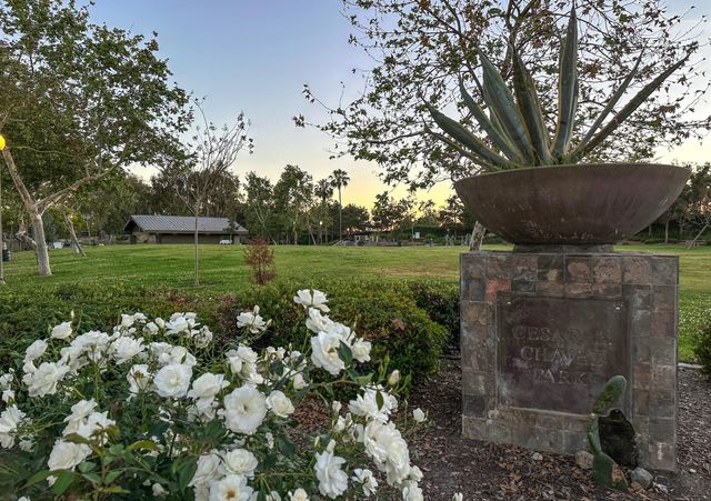 A plaque saying "Cesar E. Chavez Park" posted on a stone block in a park near trees and white flowers.