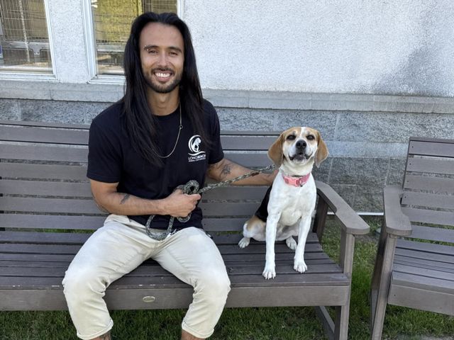 A smiling man sits on a wooden bench next to a really happy dog.