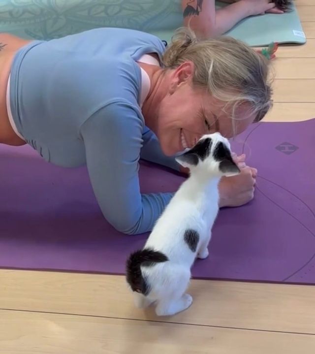 A woman smiles as she's doing pilates on a purple mat next to a tiny black and white kitten that is sniffing her face.