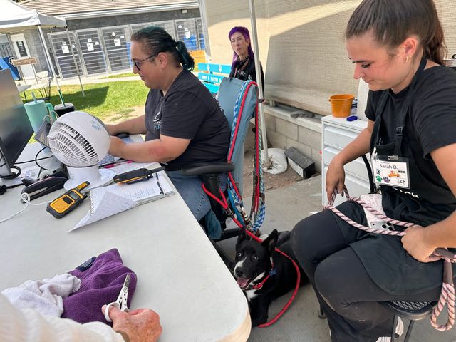 Four people sit around a white table while a really cute black and white dog with a red leash lays down near them.
