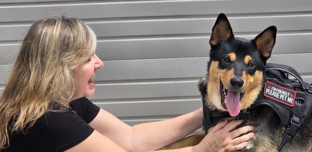 A woman smiles as she places her hands on a happy black and beige dog.
