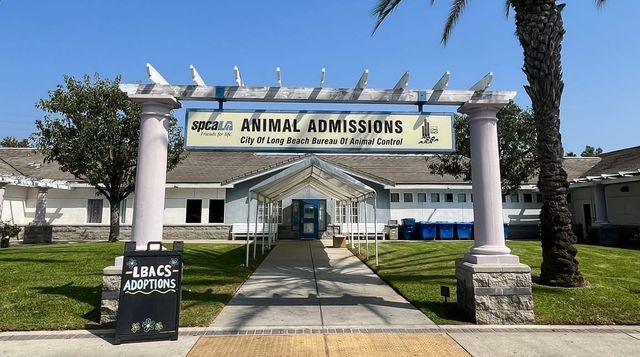 Archway labeled "spcaLA Animal Admissions" that leads to a large building.