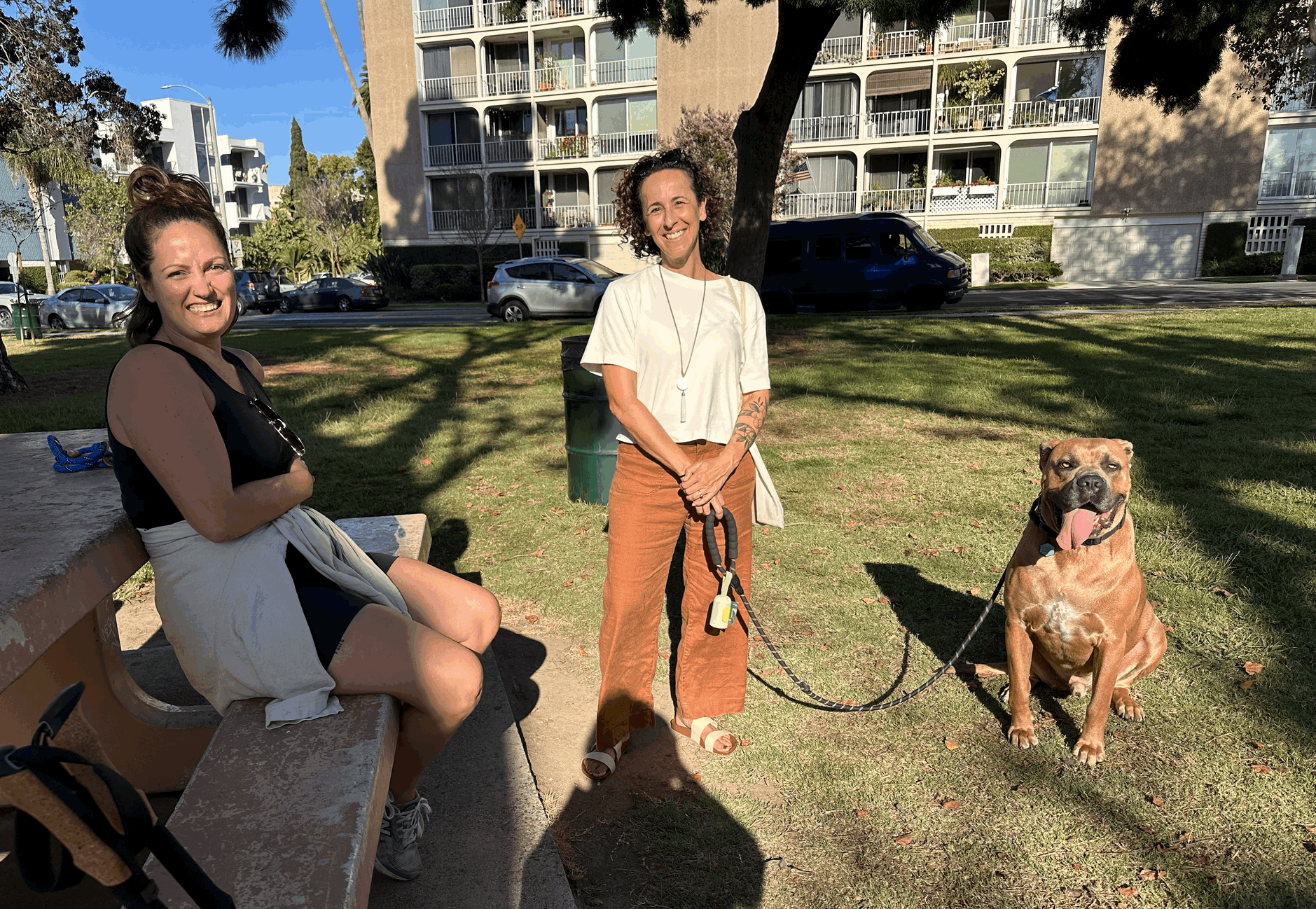 A person stands on the grass outside next to a happy dog while another person sits on a nearby bench.