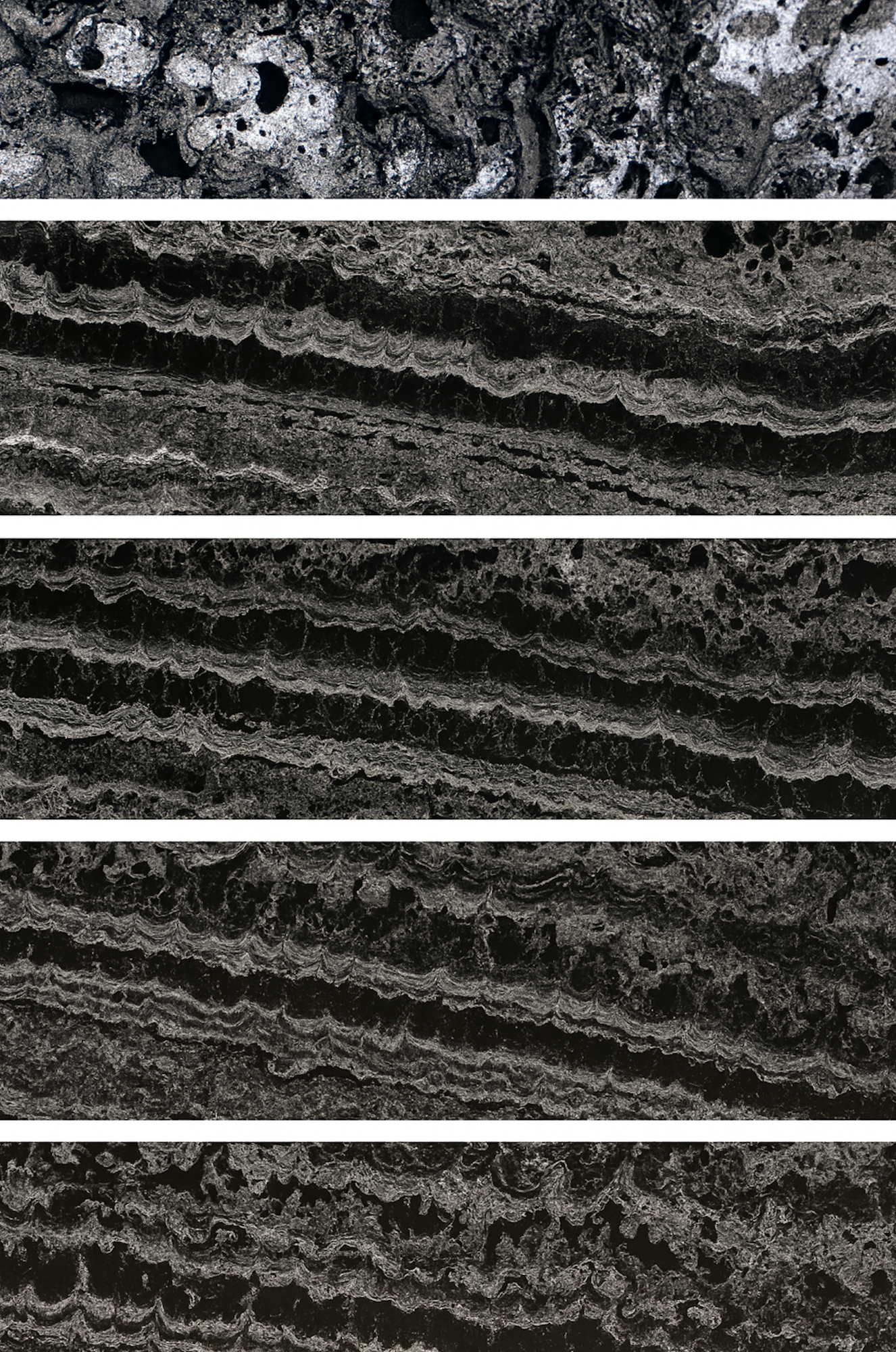 What Controls the Chemistry of Seafloor Metal Nodules Post image