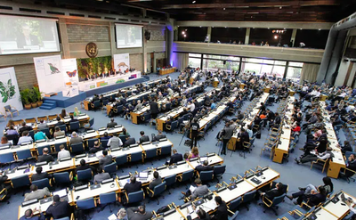 How Safe Is Deep-Sea Mining? A 2023 Review of the UN’s Environmental Oversight Tag image