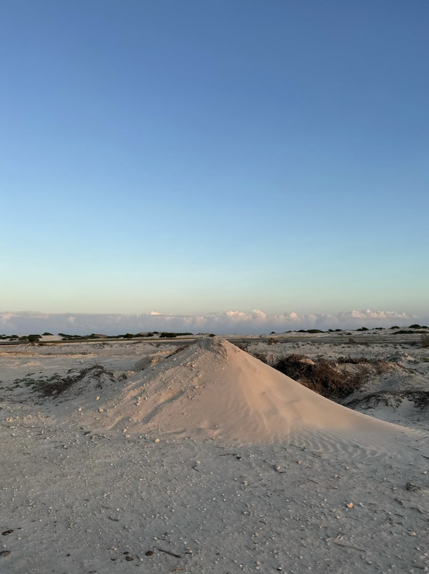 Maydi Newsletter: May 2026