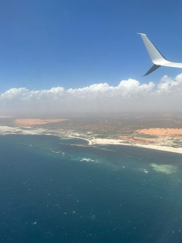 Maydi Newsletter: August 2025