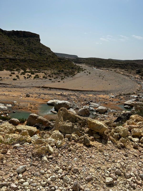 Maydi Newsletter: October